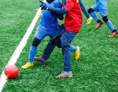 双色球秘籍,大公开,期精准红球,中国竞彩网,中国竞彩网官方,中国竞彩网公司,中国竞彩网中心,中国竞彩网团队