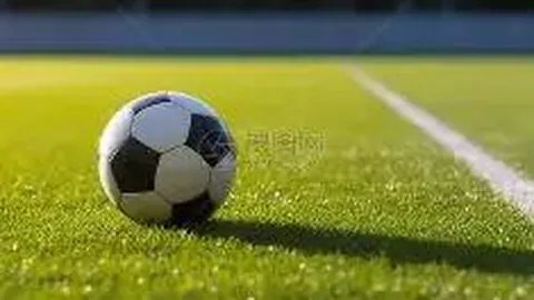 【独中秘彩】彩票3D第034期绝密遗漏解析：揭秘24号必杀良机！